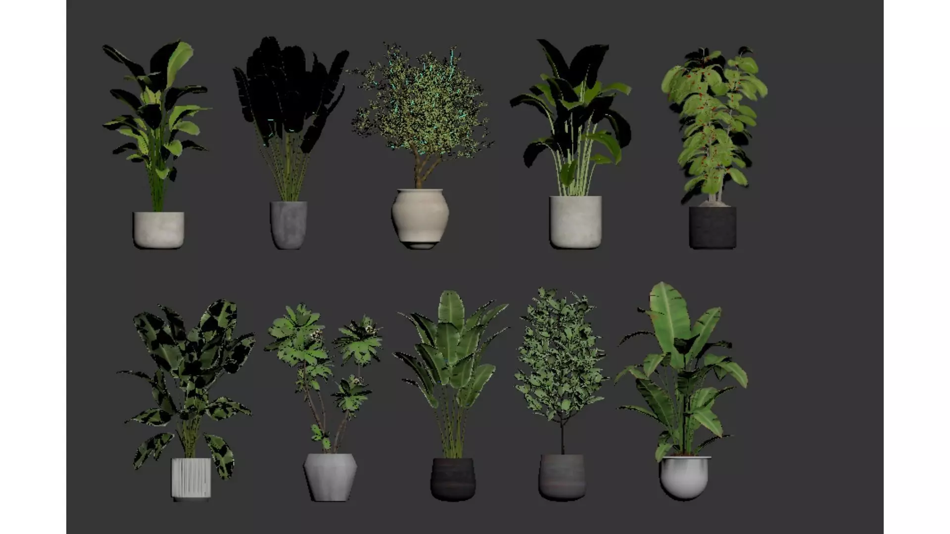 Diverse combinations of potted plants and plants 3D model_5
