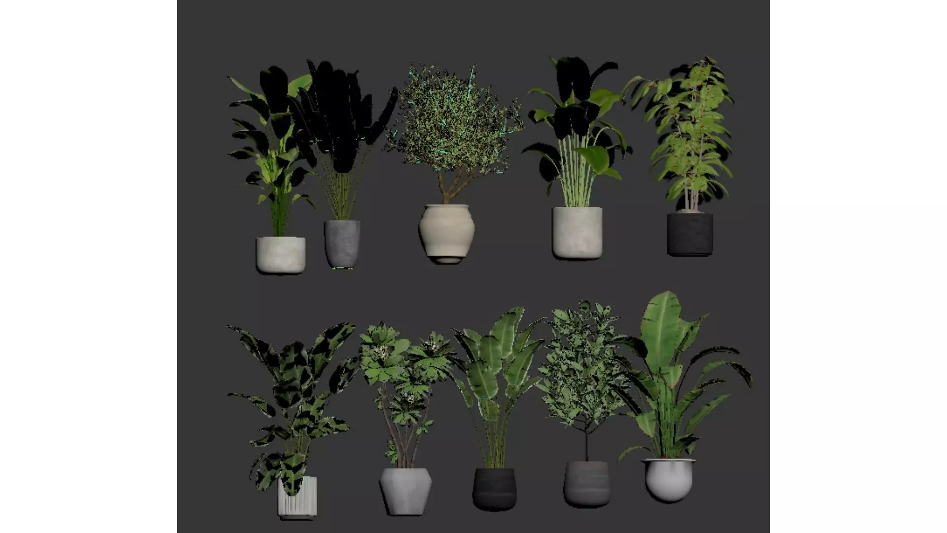 Diverse combinations of potted plants and plants 3D model_4