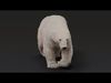 Polar bear Low-poly 3D model_1