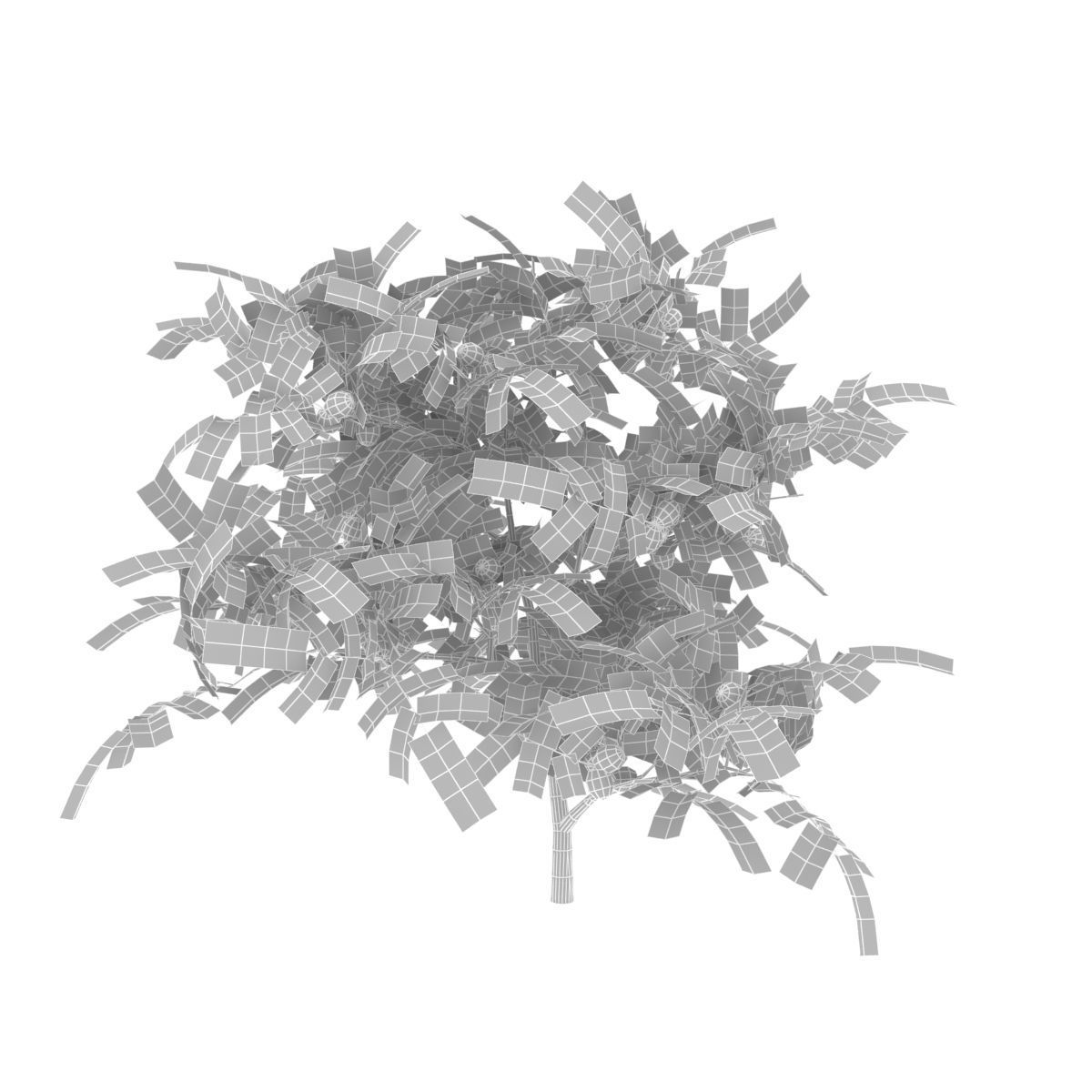 Walnut tree 3D model_9