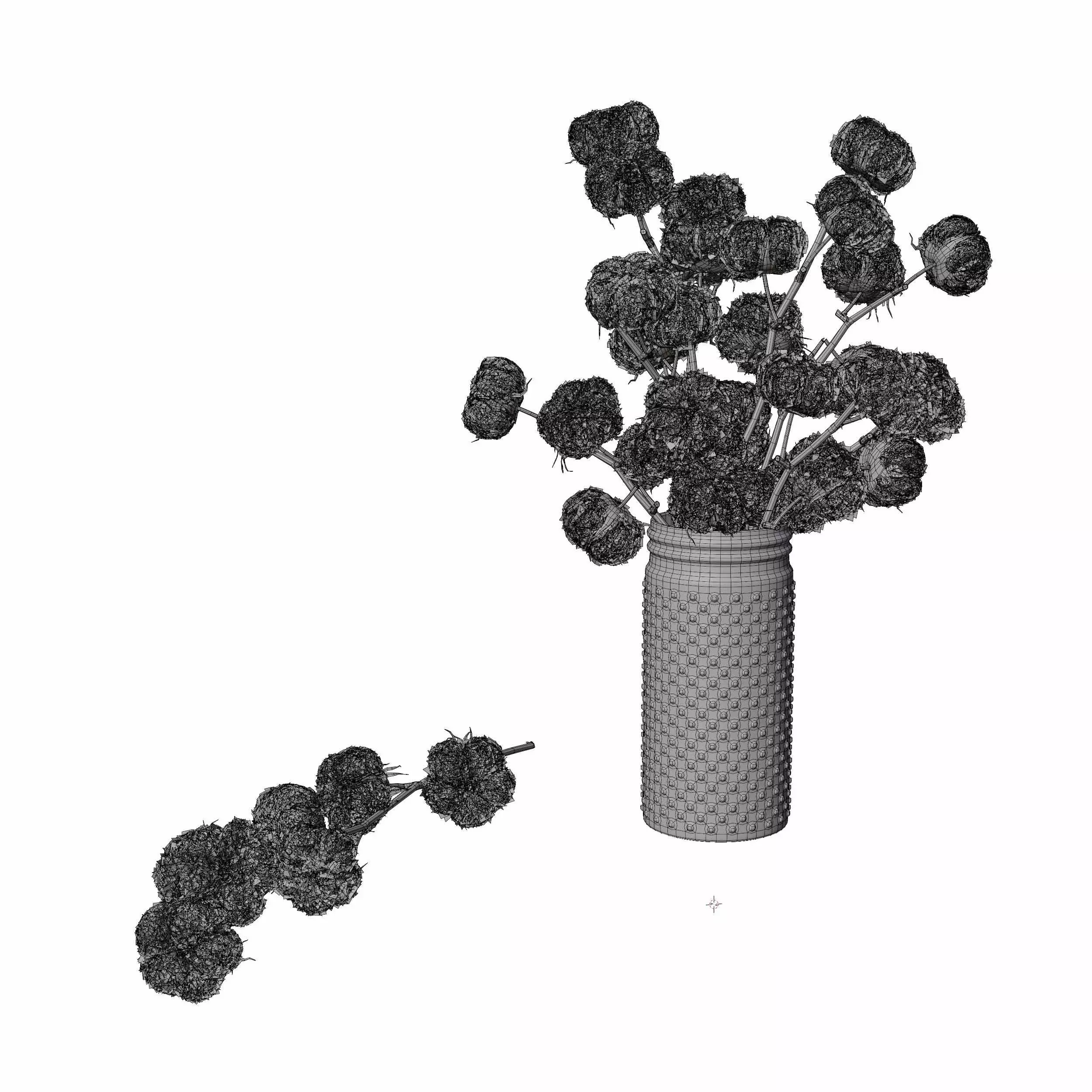 Cotton Plant 3D model_6