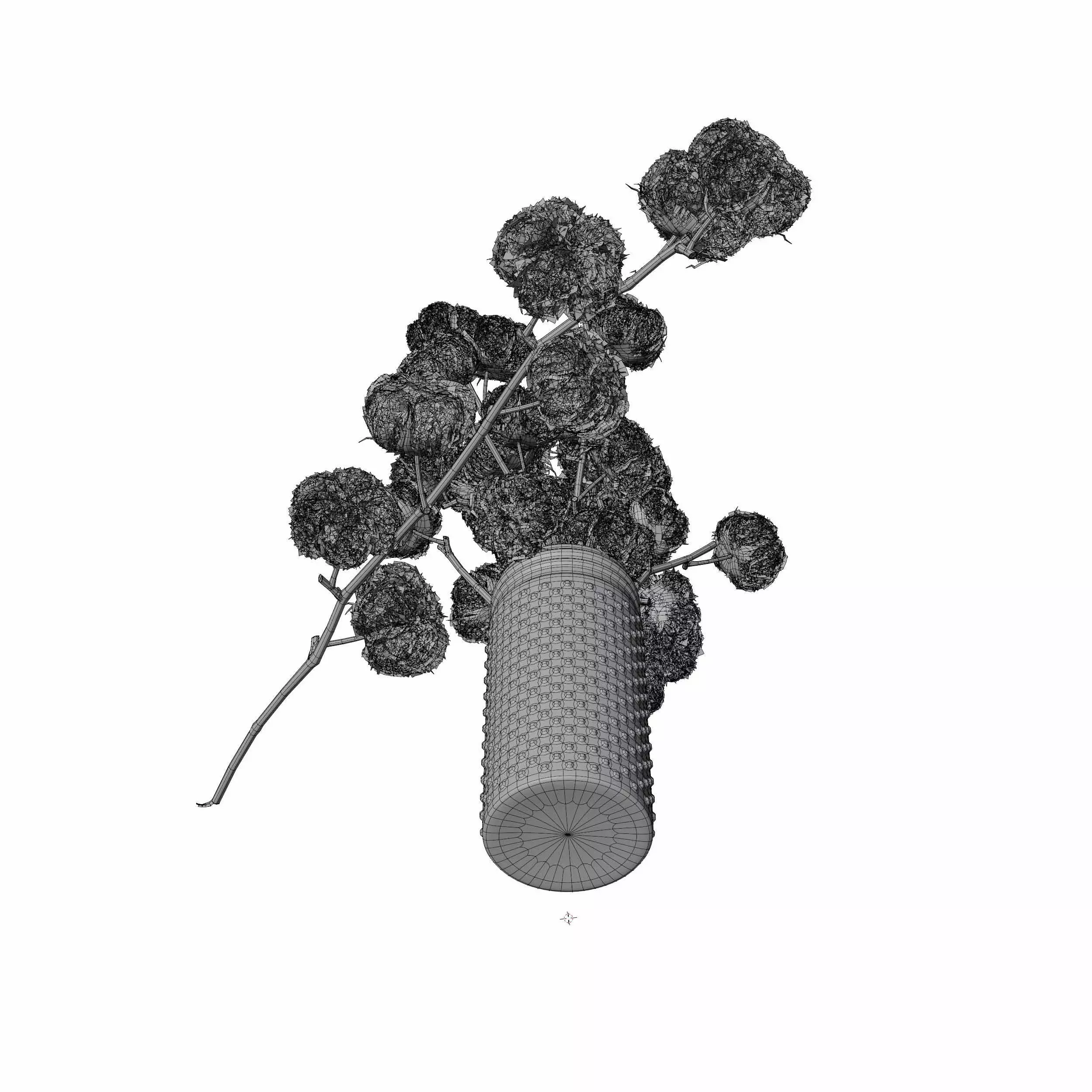 Cotton Plant 3D model_7