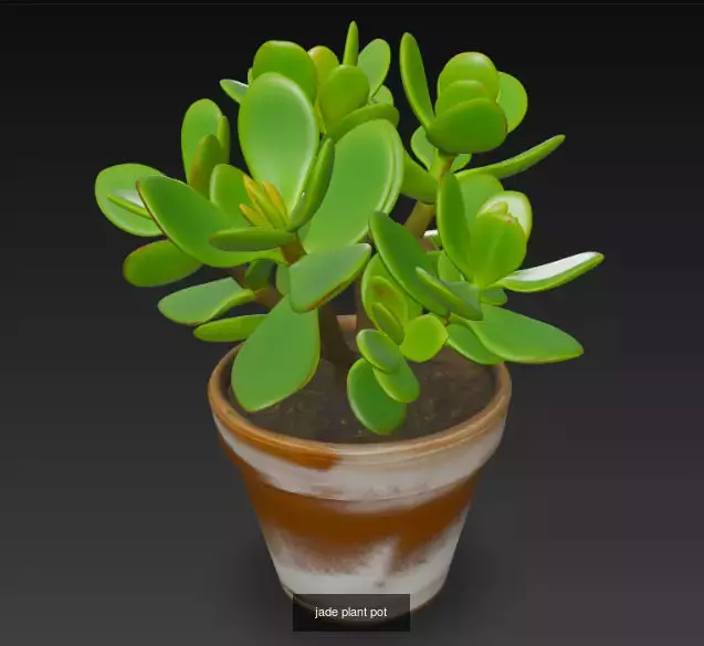 10 Plant Pots 3d Model 3D Model Collection_8