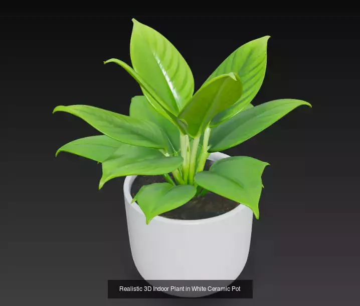 10 Plant Pots 3d Model 3D Model Collection_2