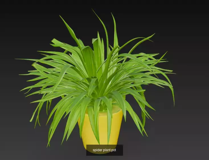 10 Plant Pots 3d Model 3D Model Collection_7