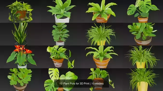 10 Plant Pots 3d Model 3D Model Collection