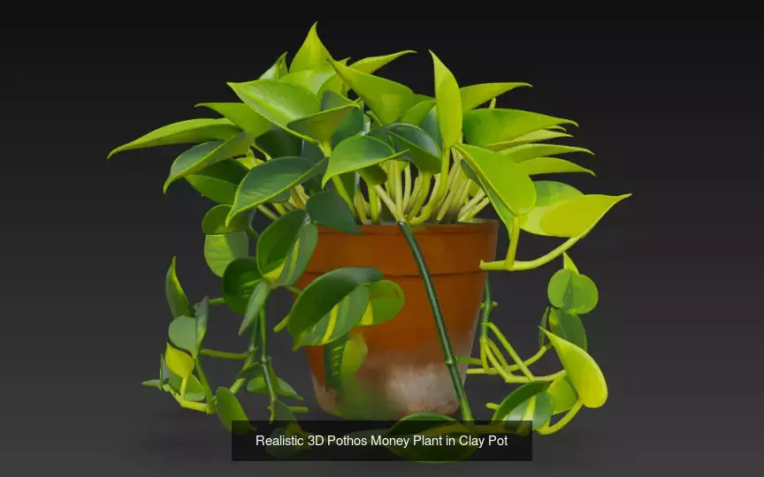 10 Plant Pots 3d Model 3D Model Collection_1