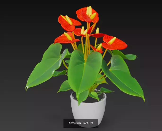 10 Plant Pots 3d Model 3D Model Collection_9