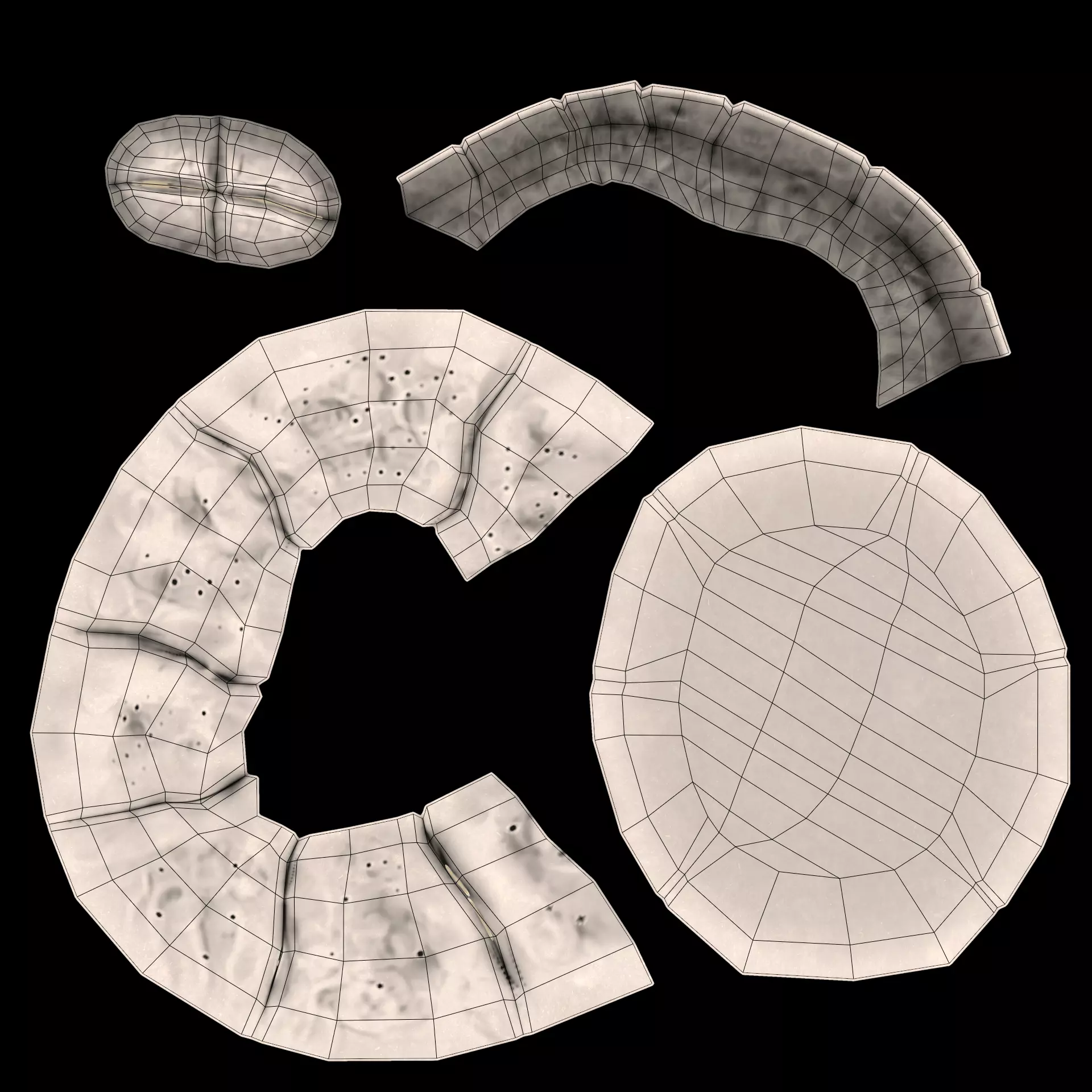 Turtle Barnacle - Chelonibia Testudinaria - Marine Low-poly 3D model_7