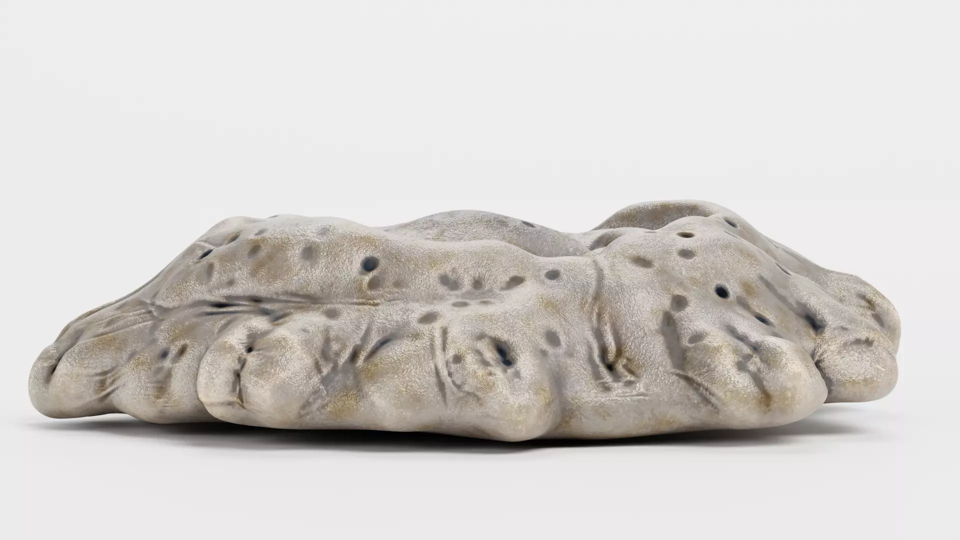 Cornish Rock Barnacle - Chthamalus Stellatus - Marine Low-poly 3D model_2