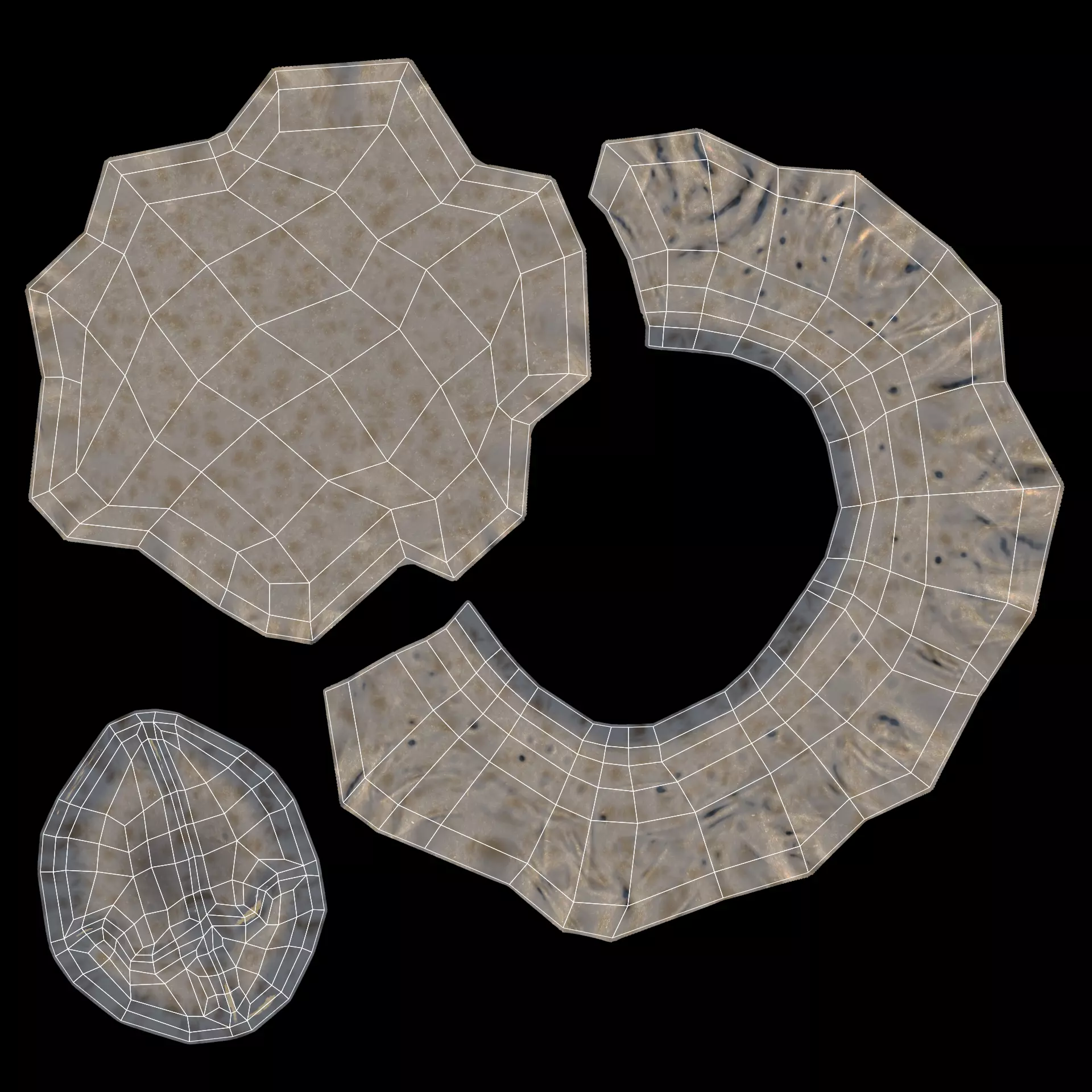 Cornish Rock Barnacle - Chthamalus Stellatus - Marine Low-poly 3D model_5