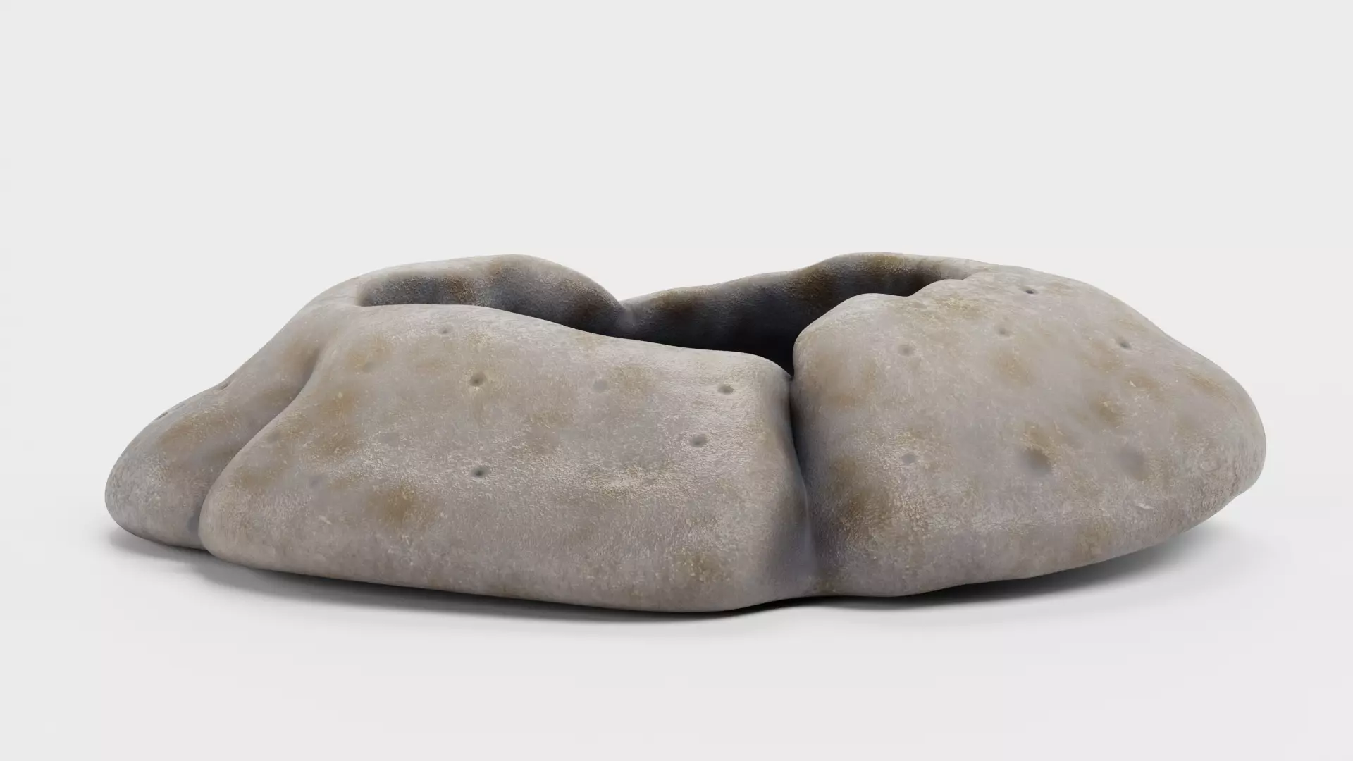 Rock Barnacle Empty - Chthamalus Stellatus - Marine Low-poly 3D model_2