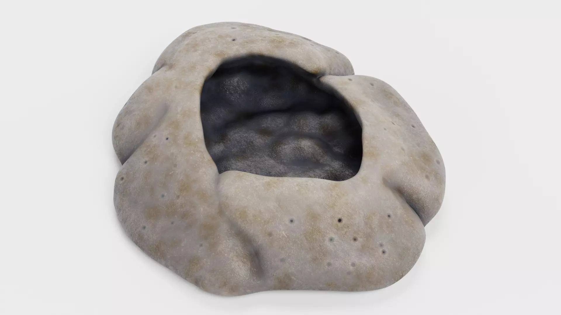 Rock Barnacle Empty - Chthamalus Stellatus - Marine Low-poly 3D model_5