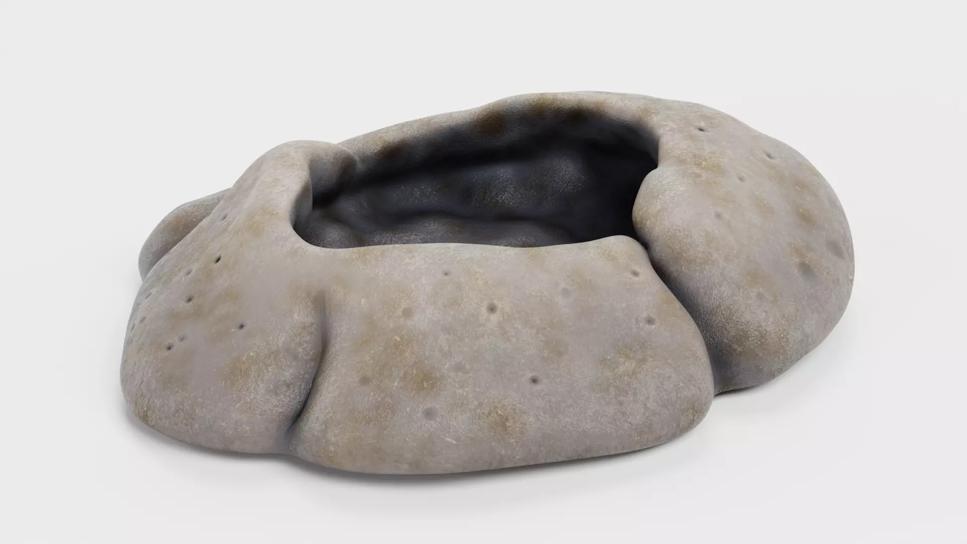 Rock Barnacle Empty - Chthamalus Stellatus - Marine Low-poly 3D model_3