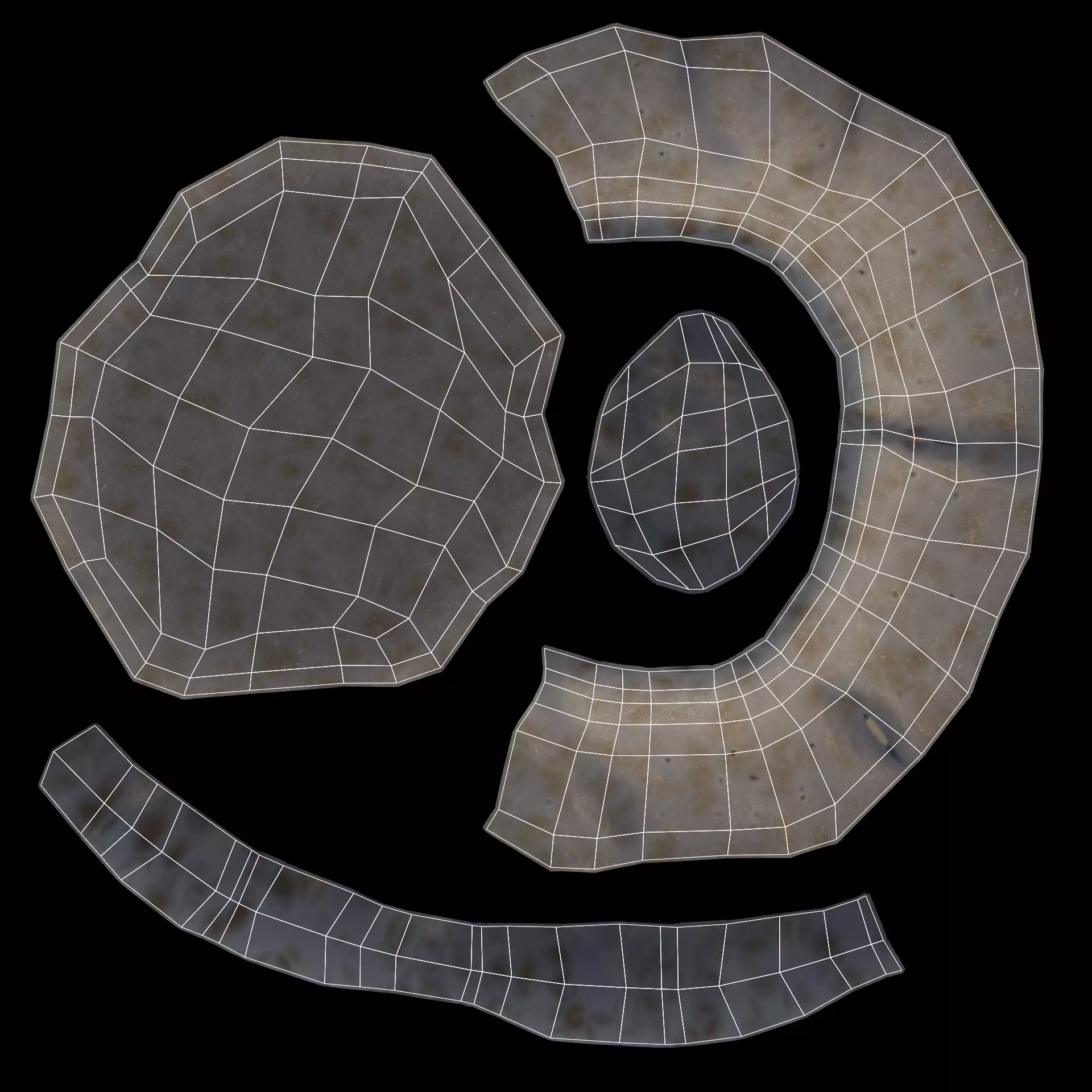 Rock Barnacle Empty - Chthamalus Stellatus - Marine Low-poly 3D model_7