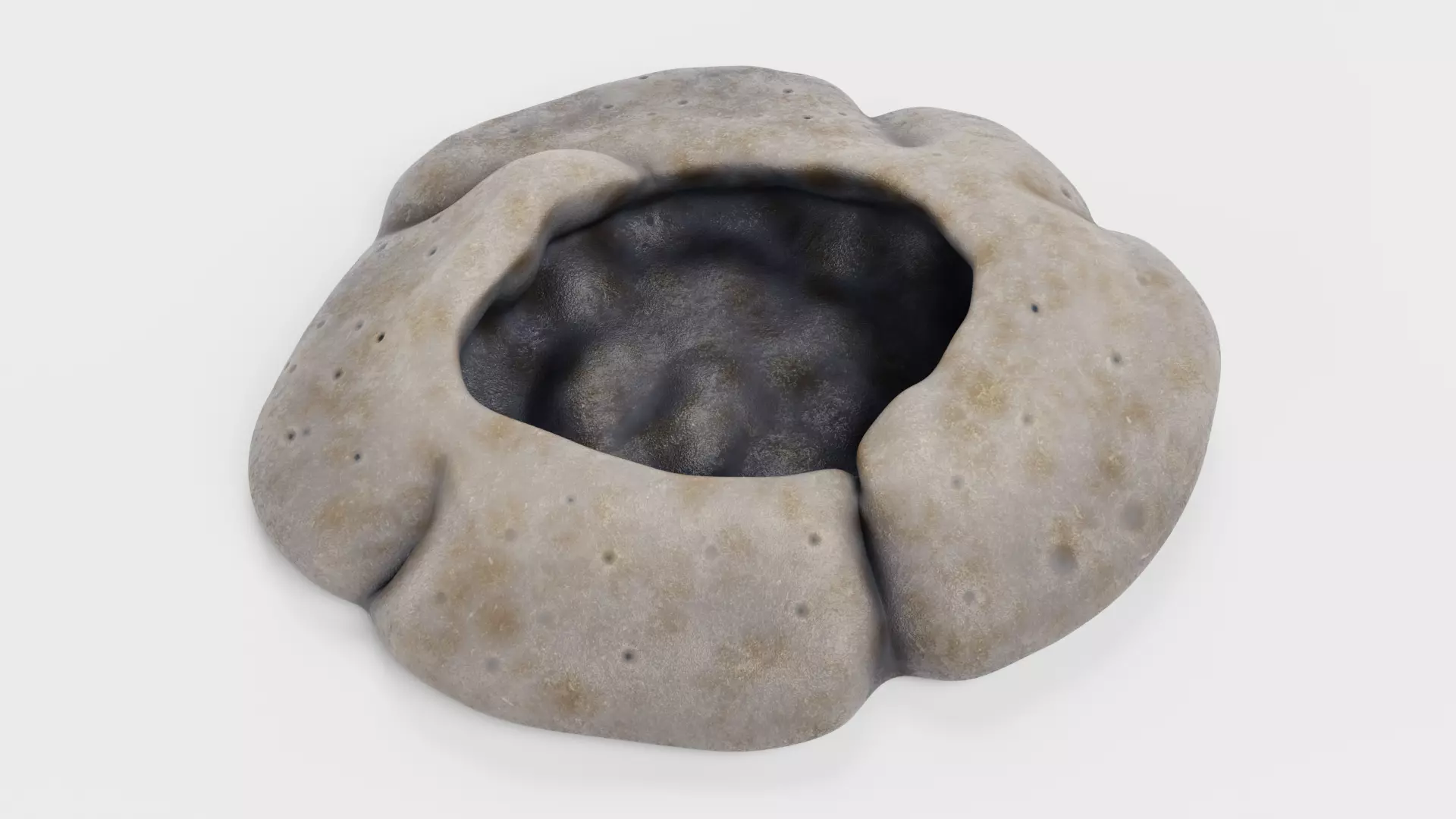 Rock Barnacle Empty - Chthamalus Stellatus - Marine Low-poly 3D model_0