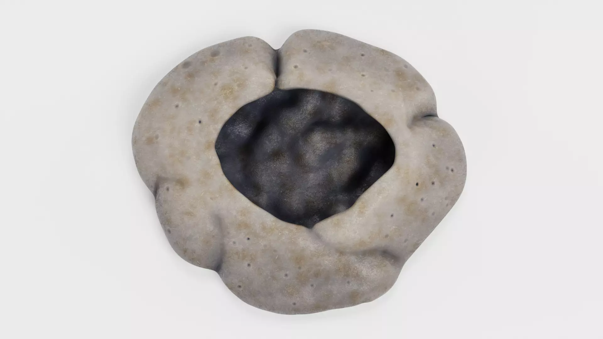 Rock Barnacle Empty - Chthamalus Stellatus - Marine Low-poly 3D model_6