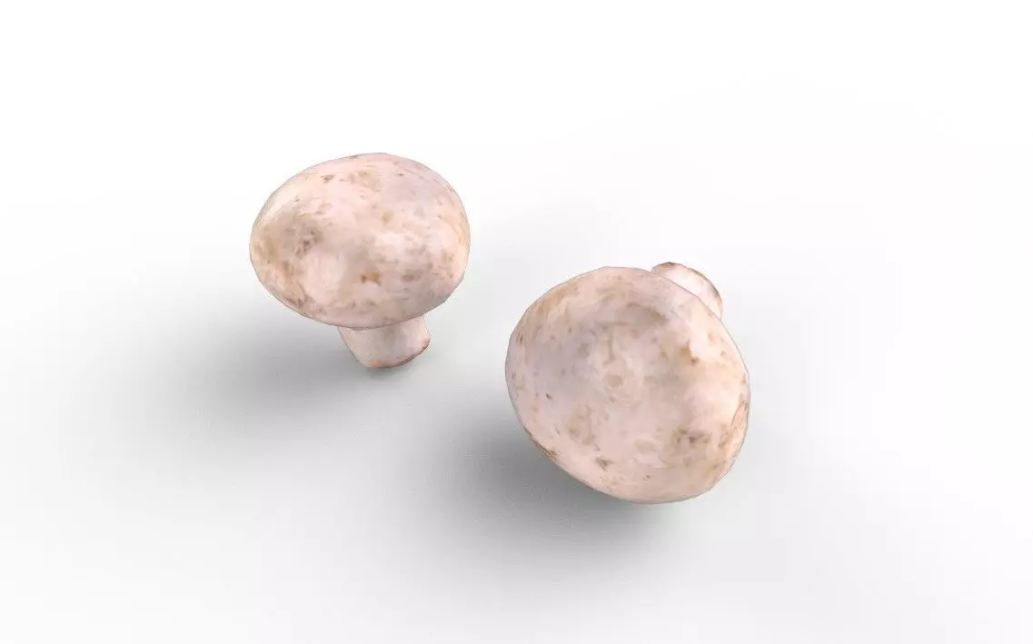 Mushroom M02 Low-poly 3D model_3