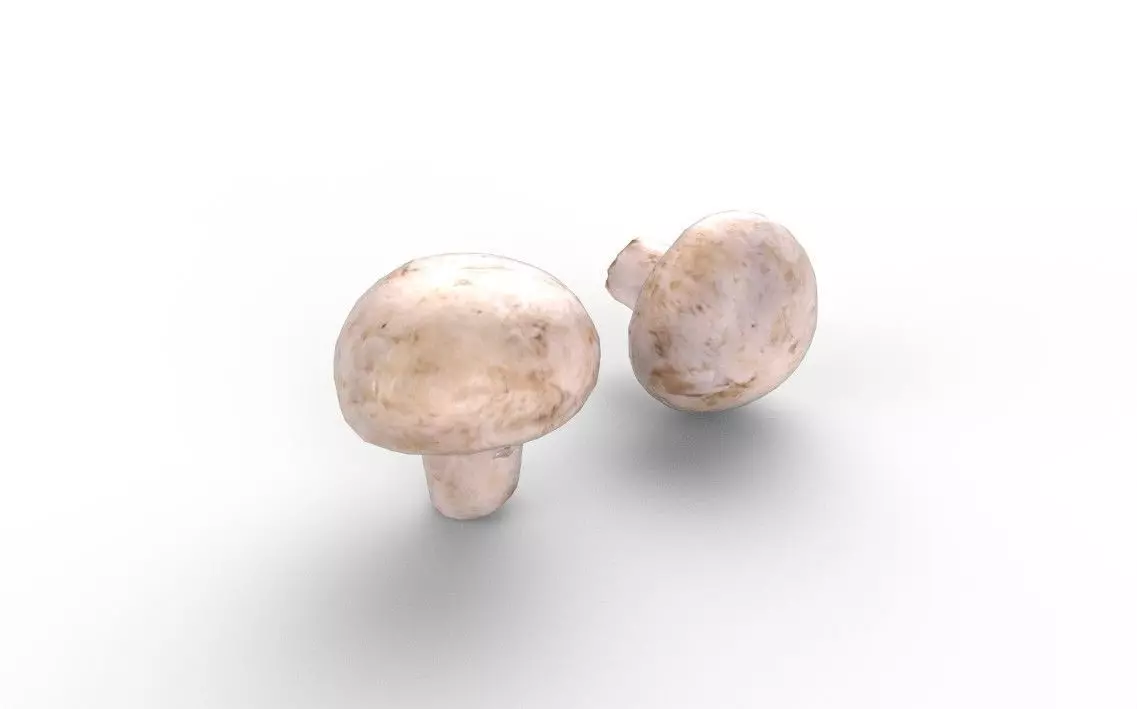 Mushroom M02 Low-poly 3D model_0
