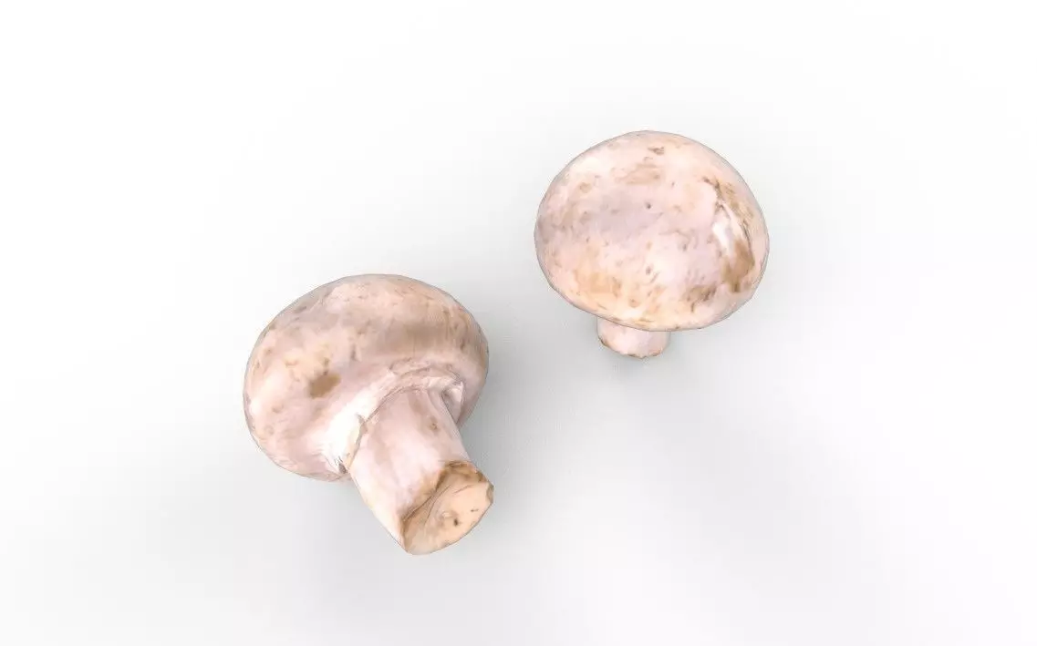 Mushroom M02 Low-poly 3D model_4