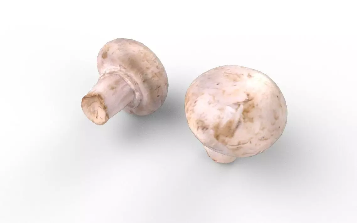 Mushroom M02 Low-poly 3D model_5