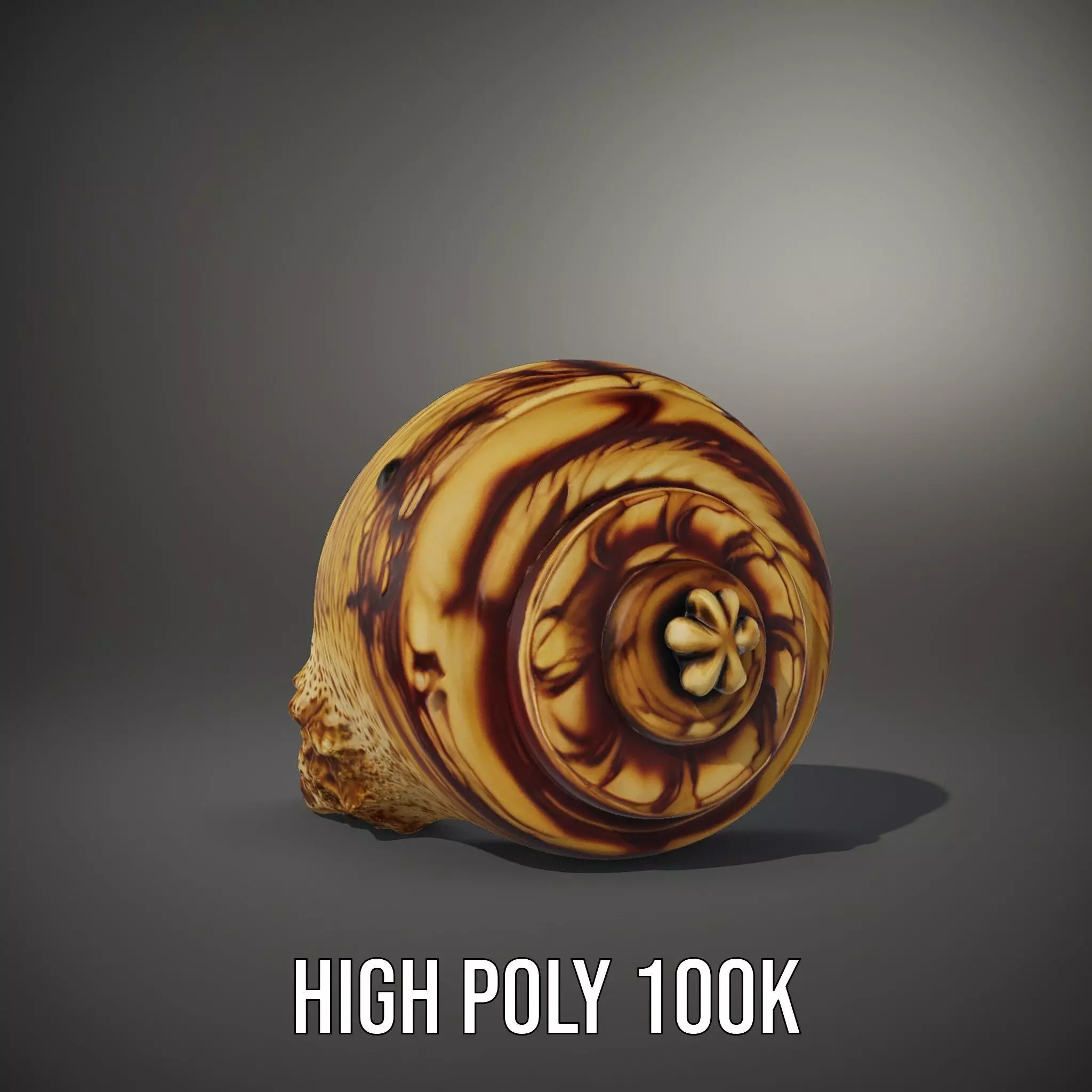 Spiral Seashell model pack Low-poly 3D model_9