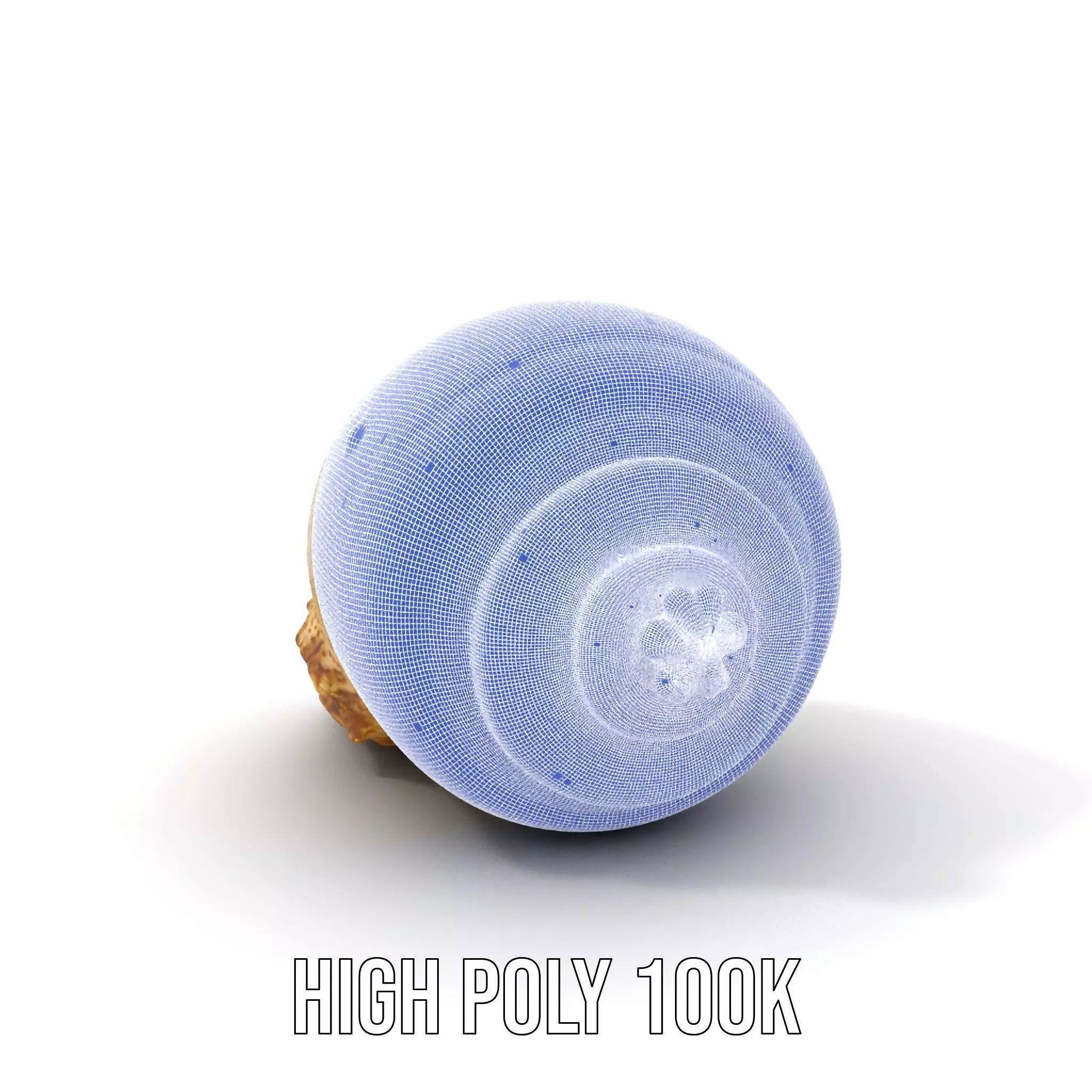 Spiral Seashell model pack Low-poly 3D model_5
