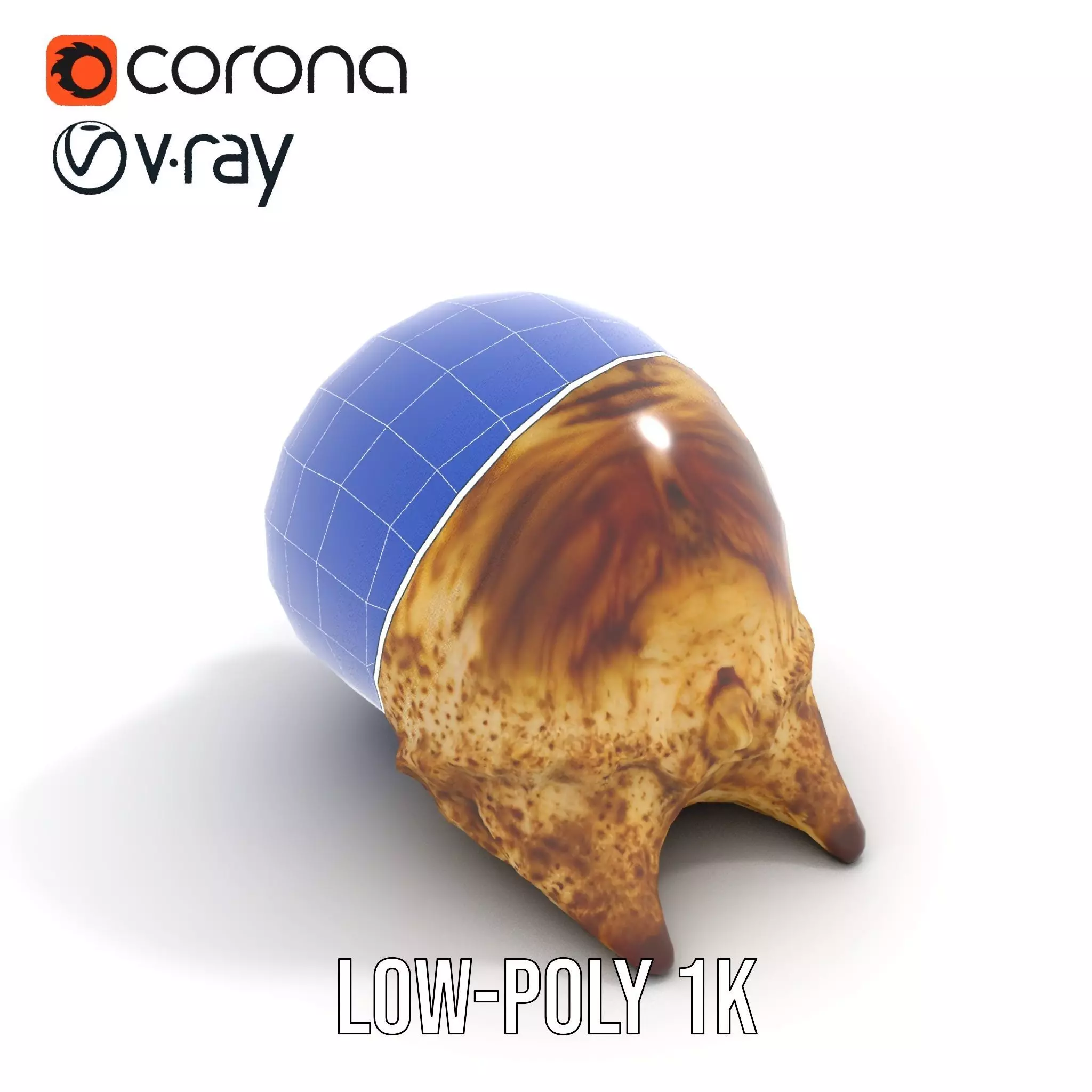 Spiral Seashell model pack Low-poly 3D model_26