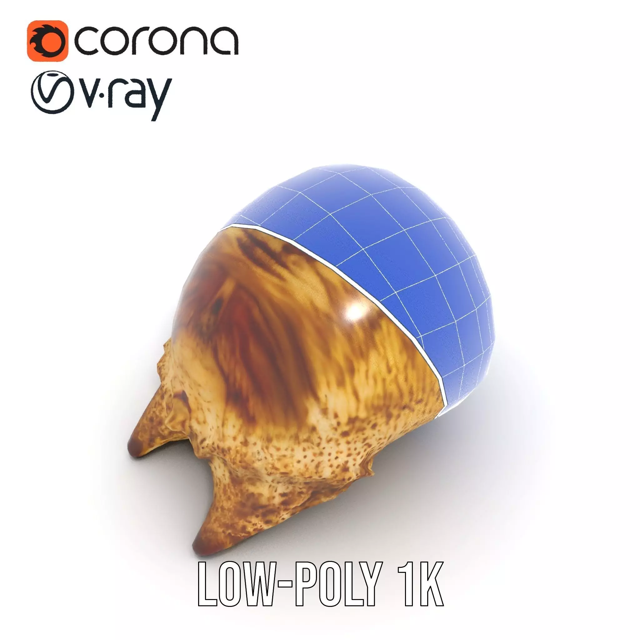 Spiral Seashell model pack Low-poly 3D model_23