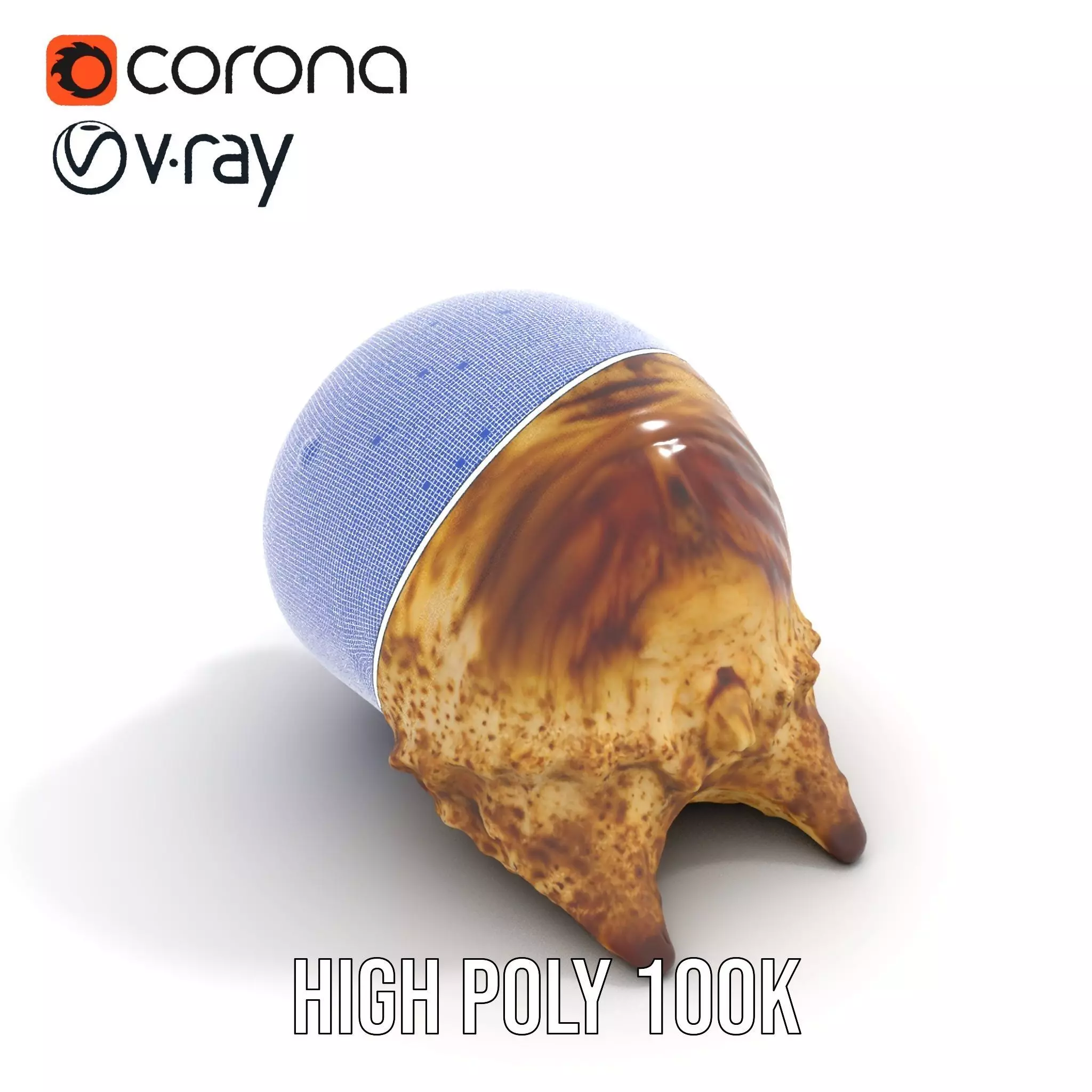 Spiral Seashell model pack Low-poly 3D model_21