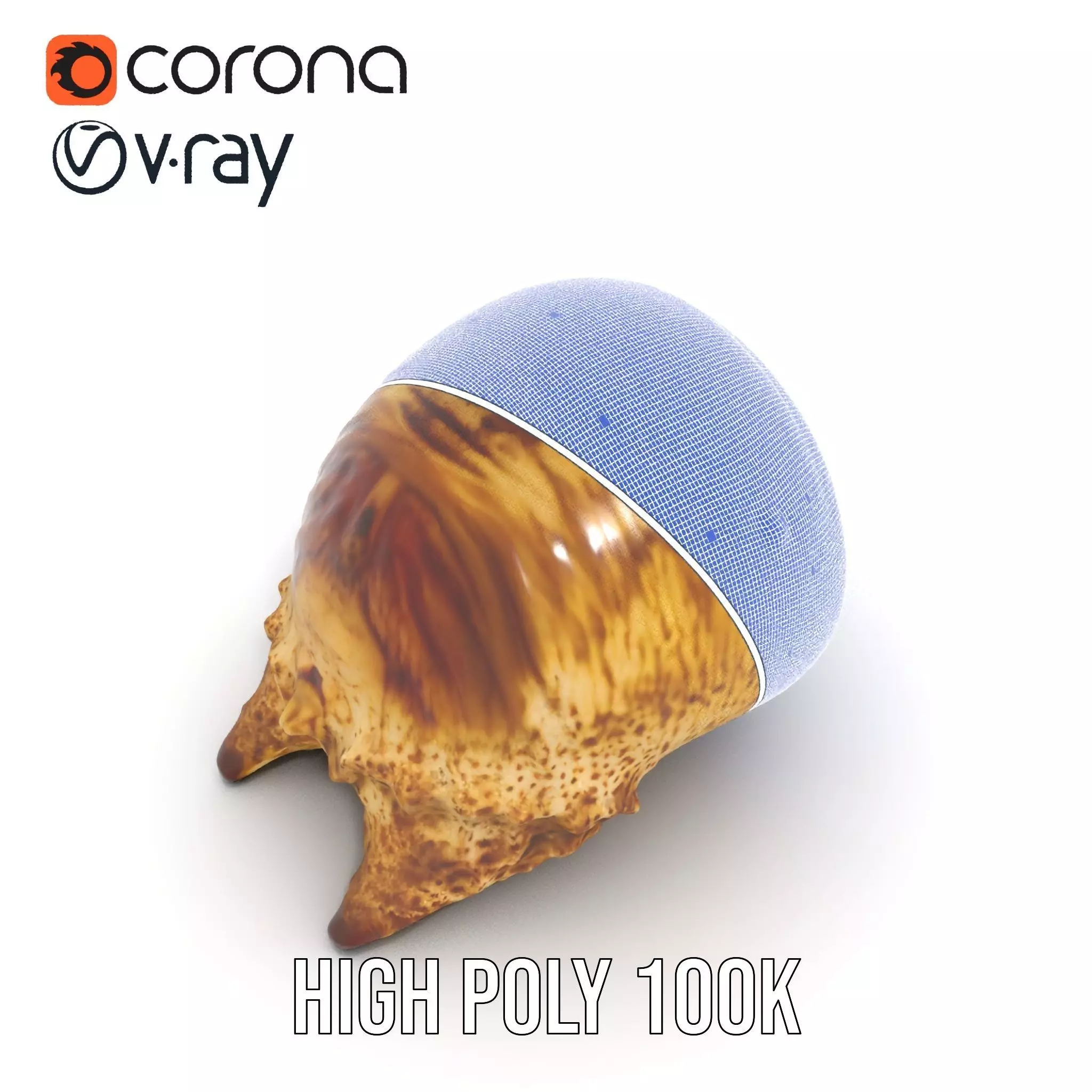 Spiral Seashell model pack Low-poly 3D model_27