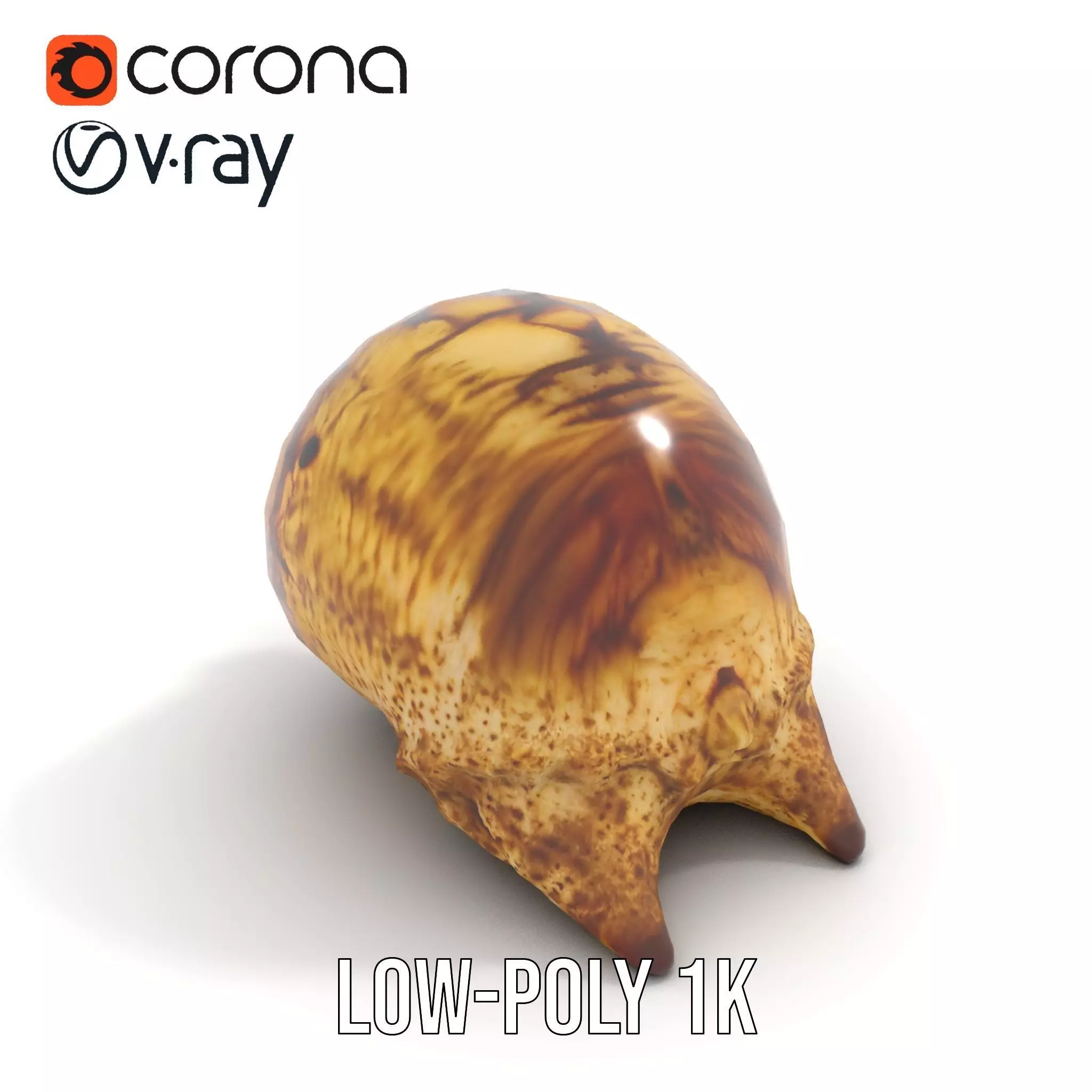 Spiral Seashell model pack Low-poly 3D model_10