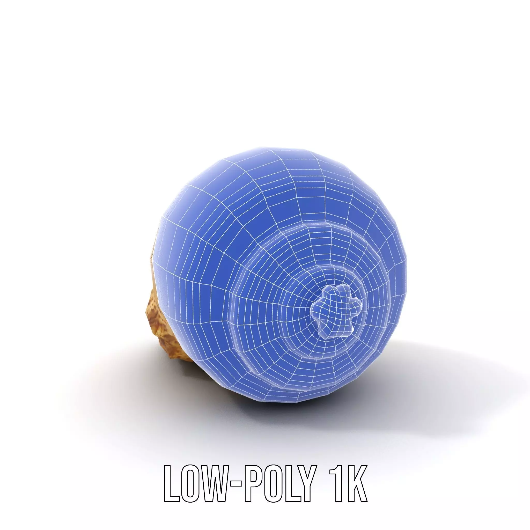 Spiral Seashell model pack Low-poly 3D model_17