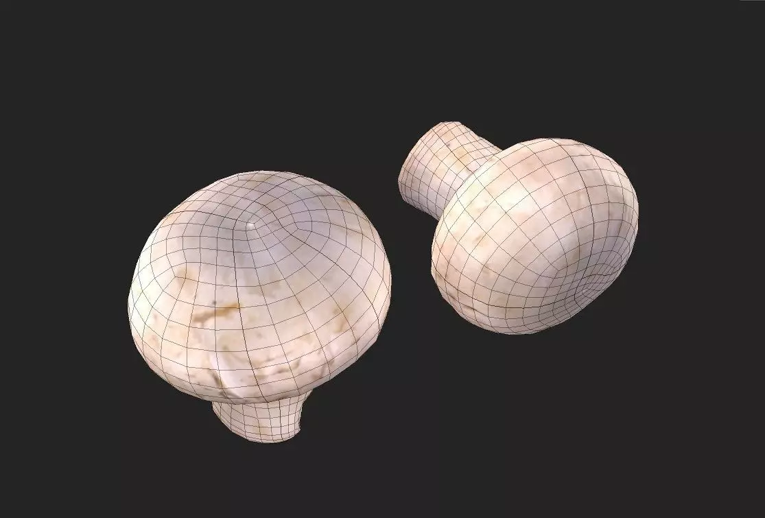 Mushroom M04 Low-poly 3D model_1
