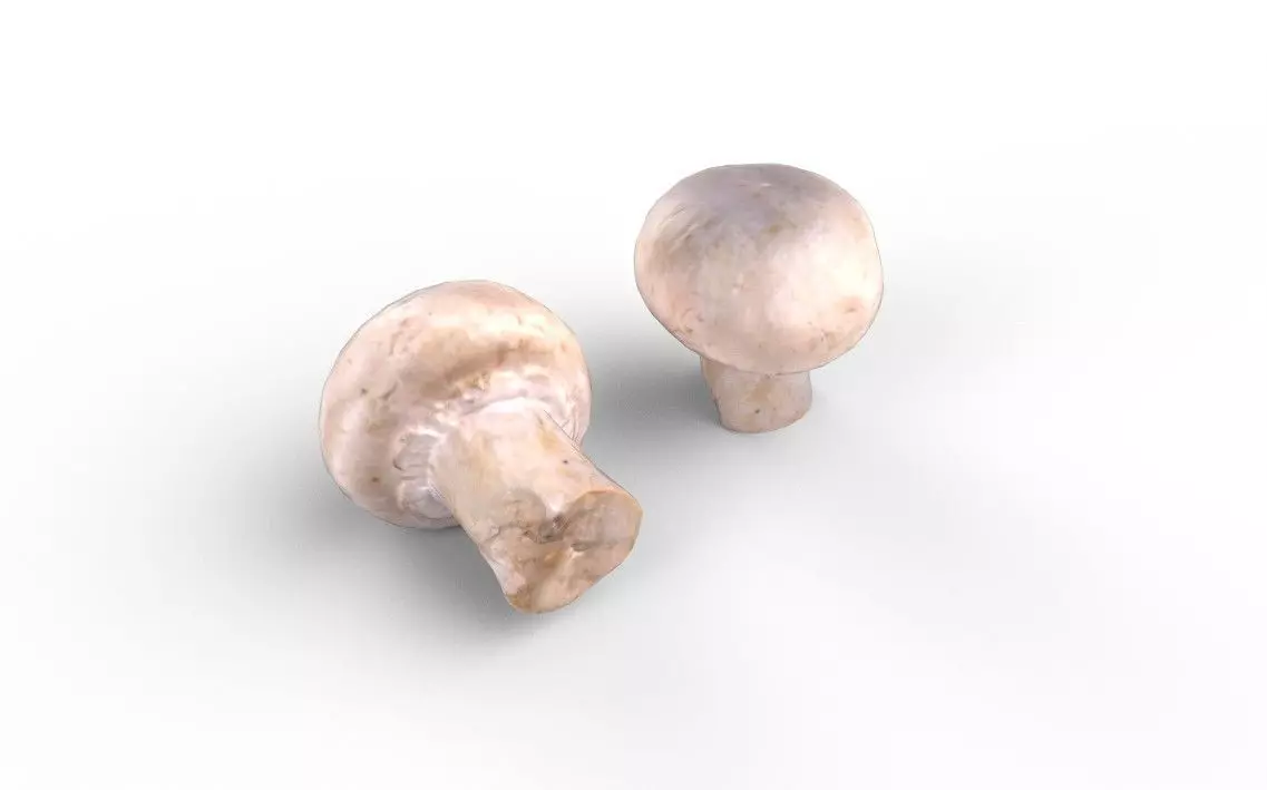 Mushroom M04 Low-poly 3D model_4