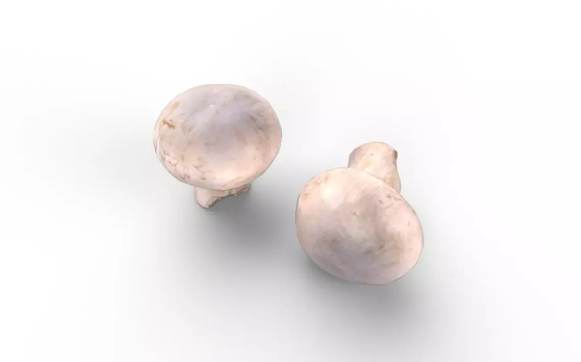 Mushroom M04 Low-poly 3D model_3