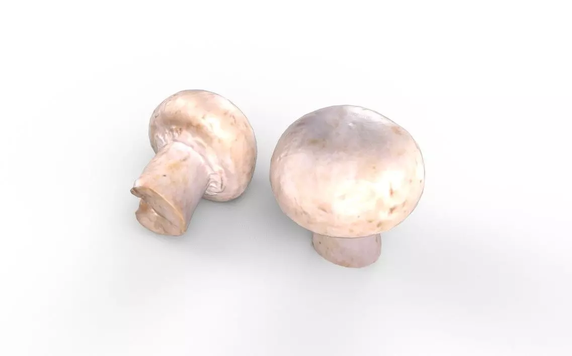 Mushroom M04 Low-poly 3D model_5