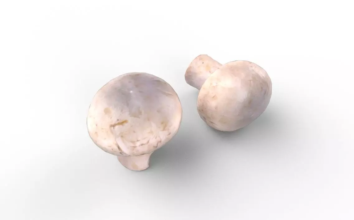Mushroom M04 Low-poly 3D model_0