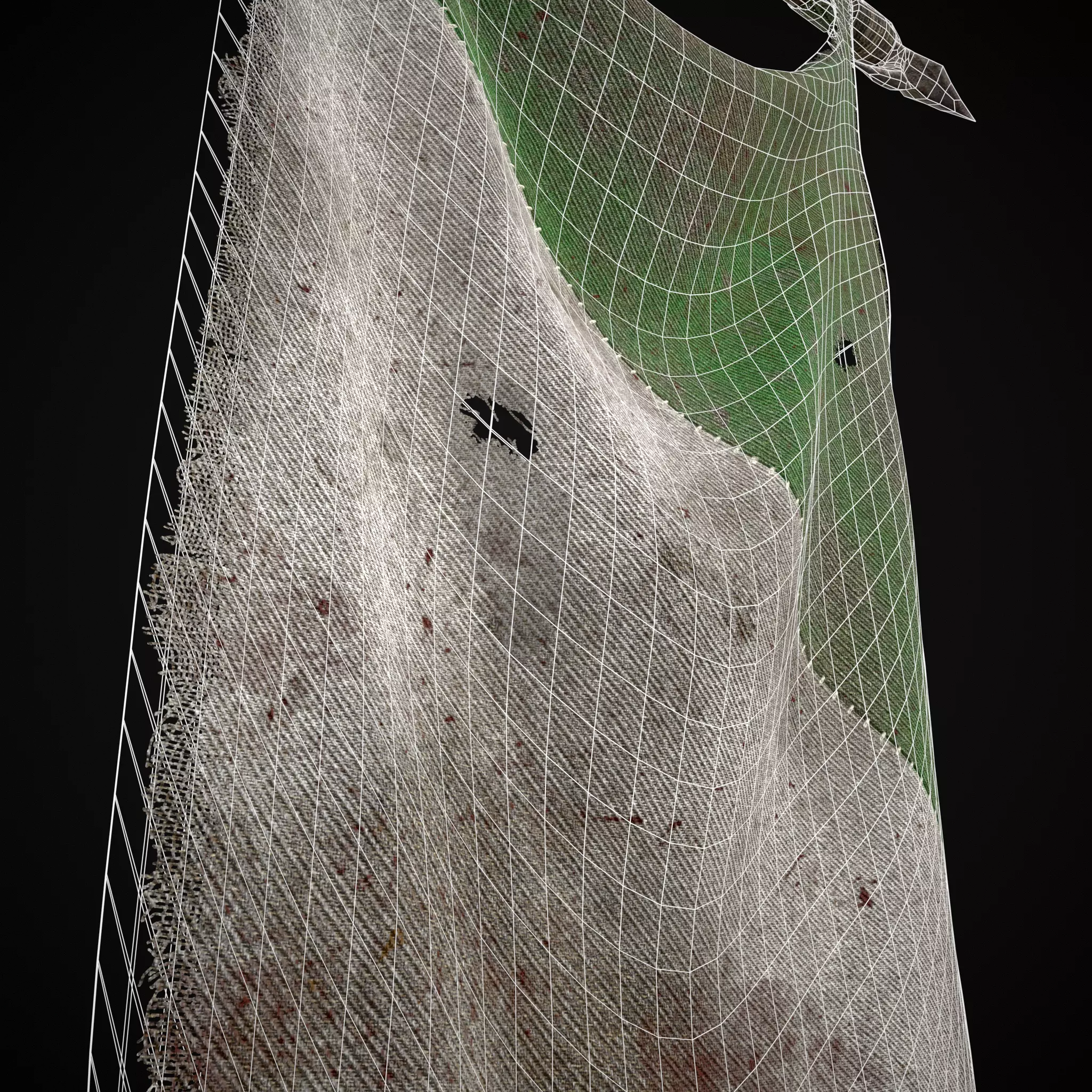 GW War Banner Low-poly 3D model_10