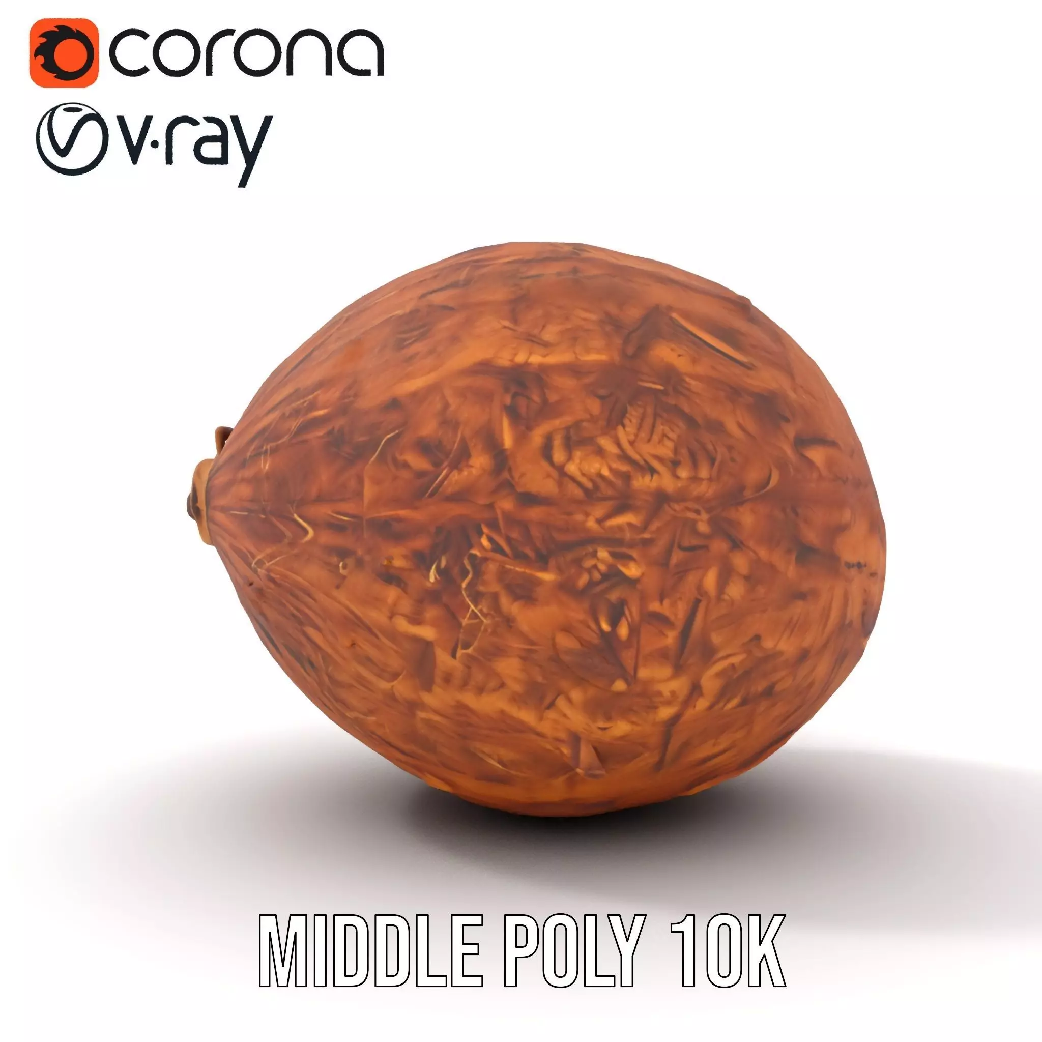Rustic Coconut model pack Low-poly 3D model_19