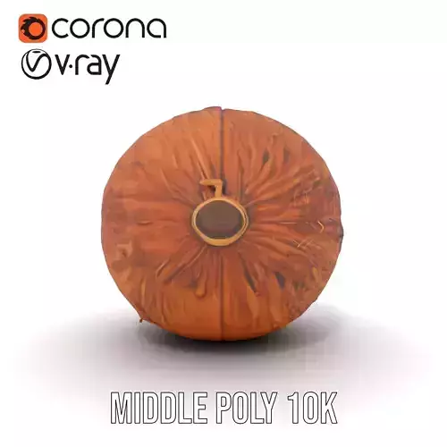 Rustic Coconut model pack Low-poly 3D model 5
