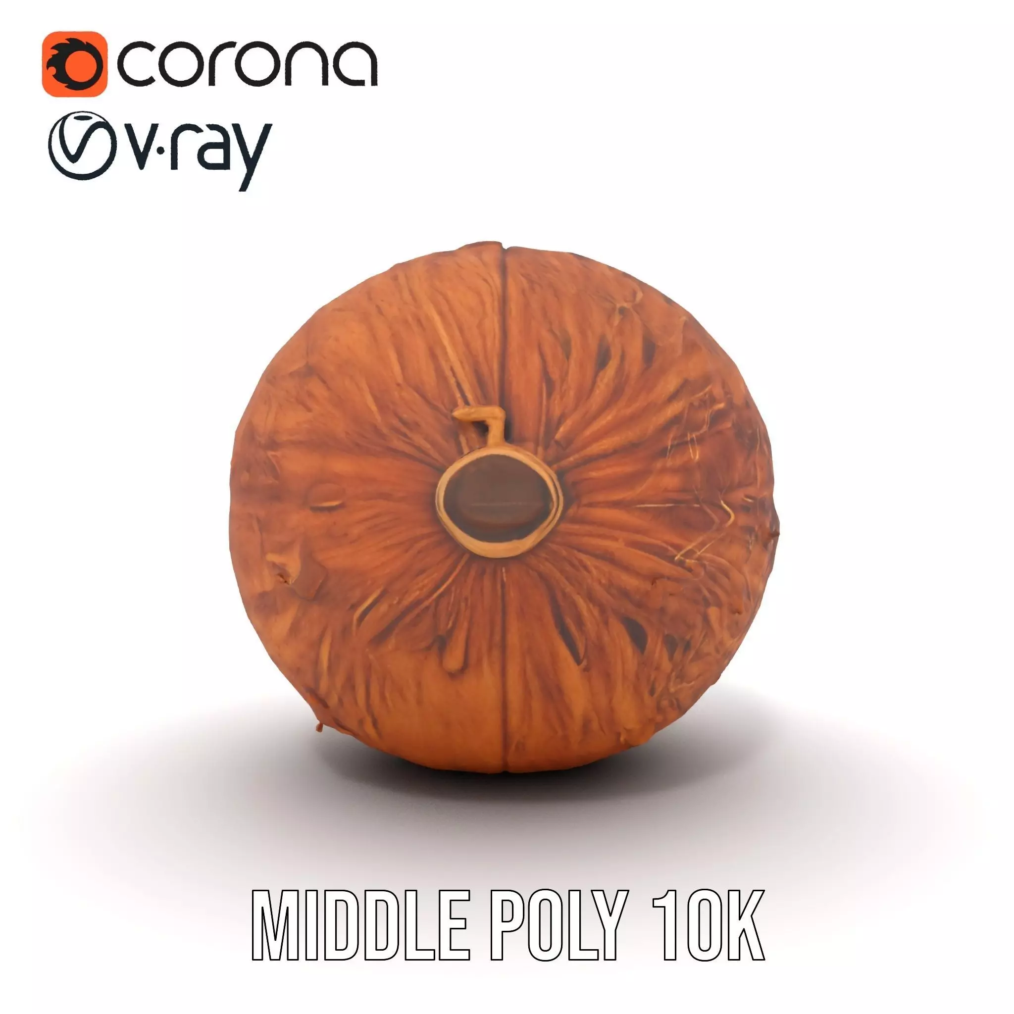 Rustic Coconut model pack Low-poly 3D model_6