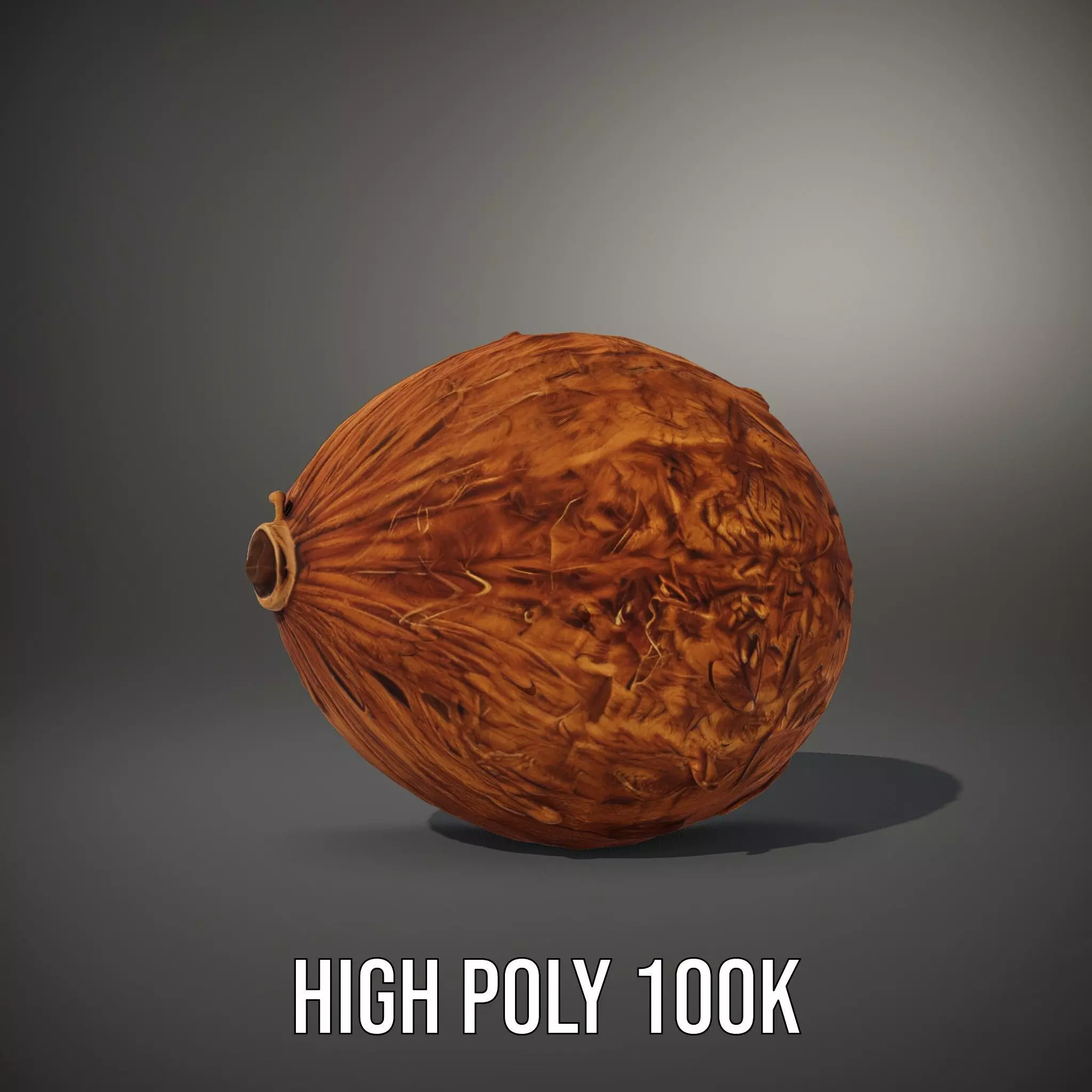 Rustic Coconut model pack Low-poly 3D model_11