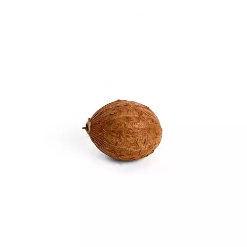 Rustic Coconut model pack Low-poly 3D model 2