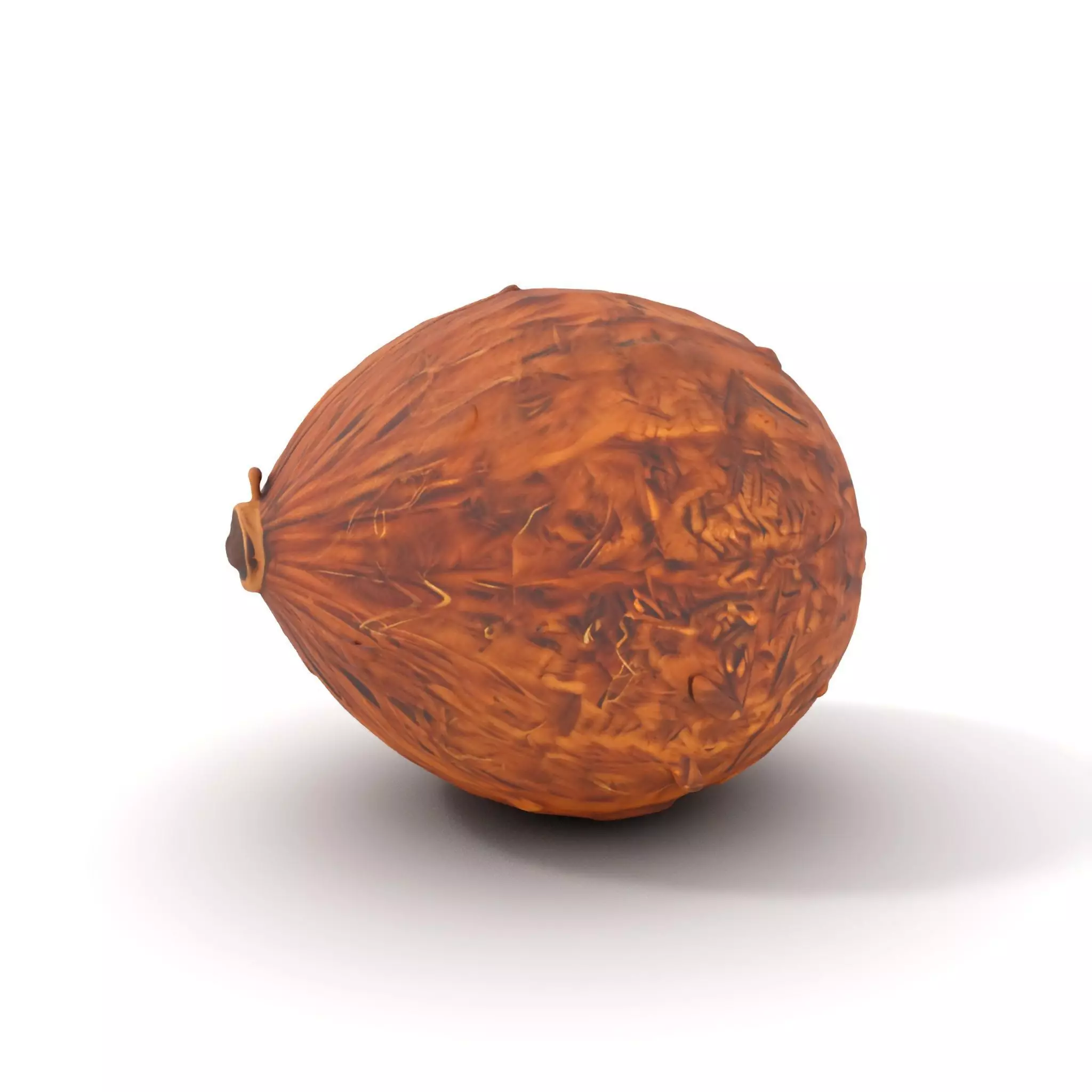 Rustic Coconut model pack Low-poly 3D model_0