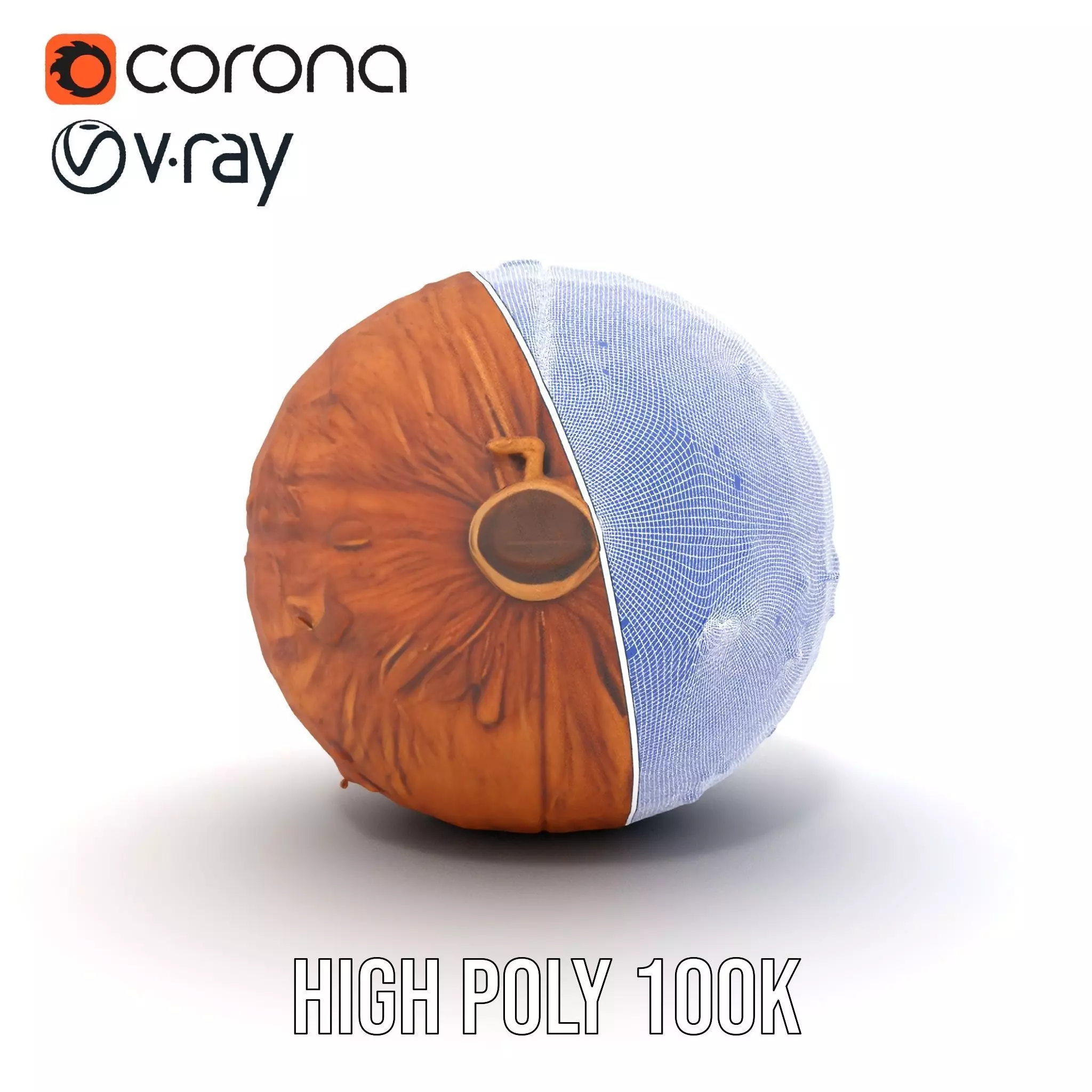 Rustic Coconut model pack Low-poly 3D model_35