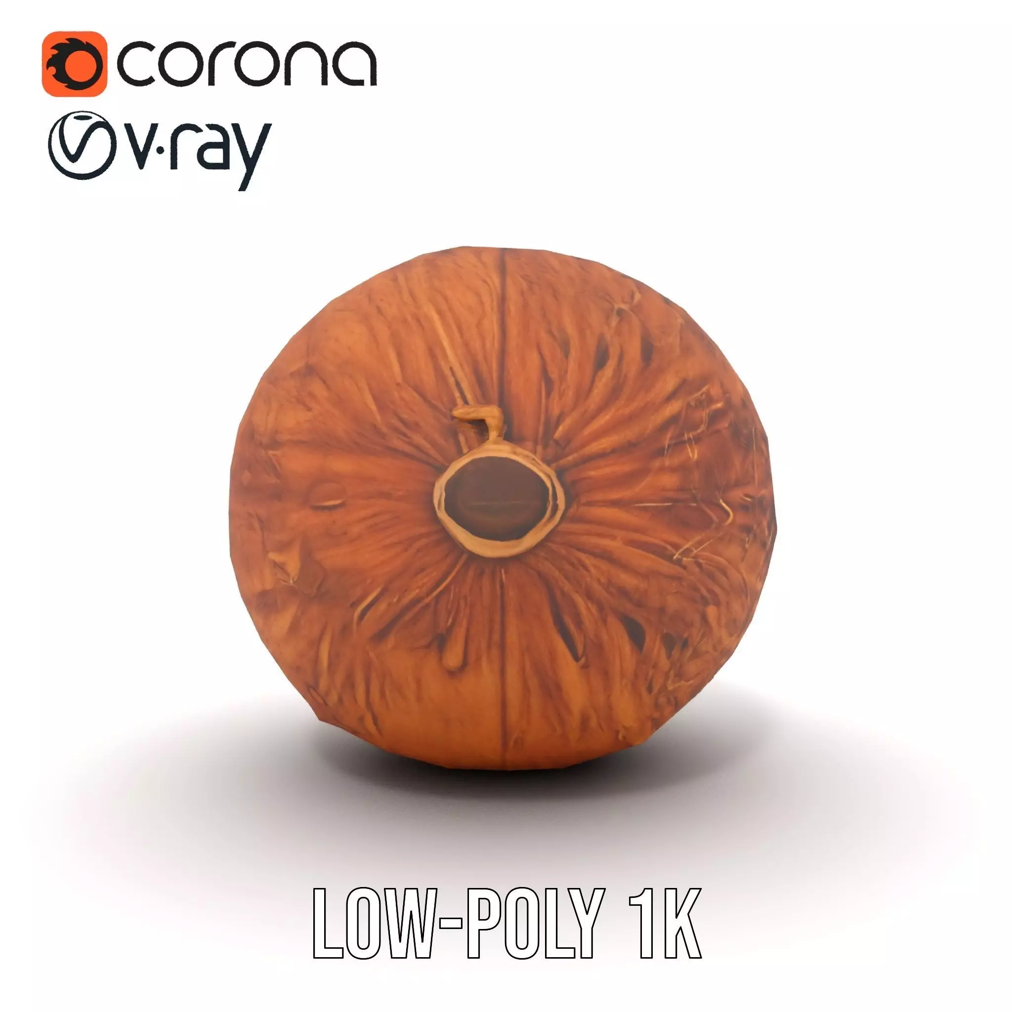 Rustic Coconut model pack Low-poly 3D model_20