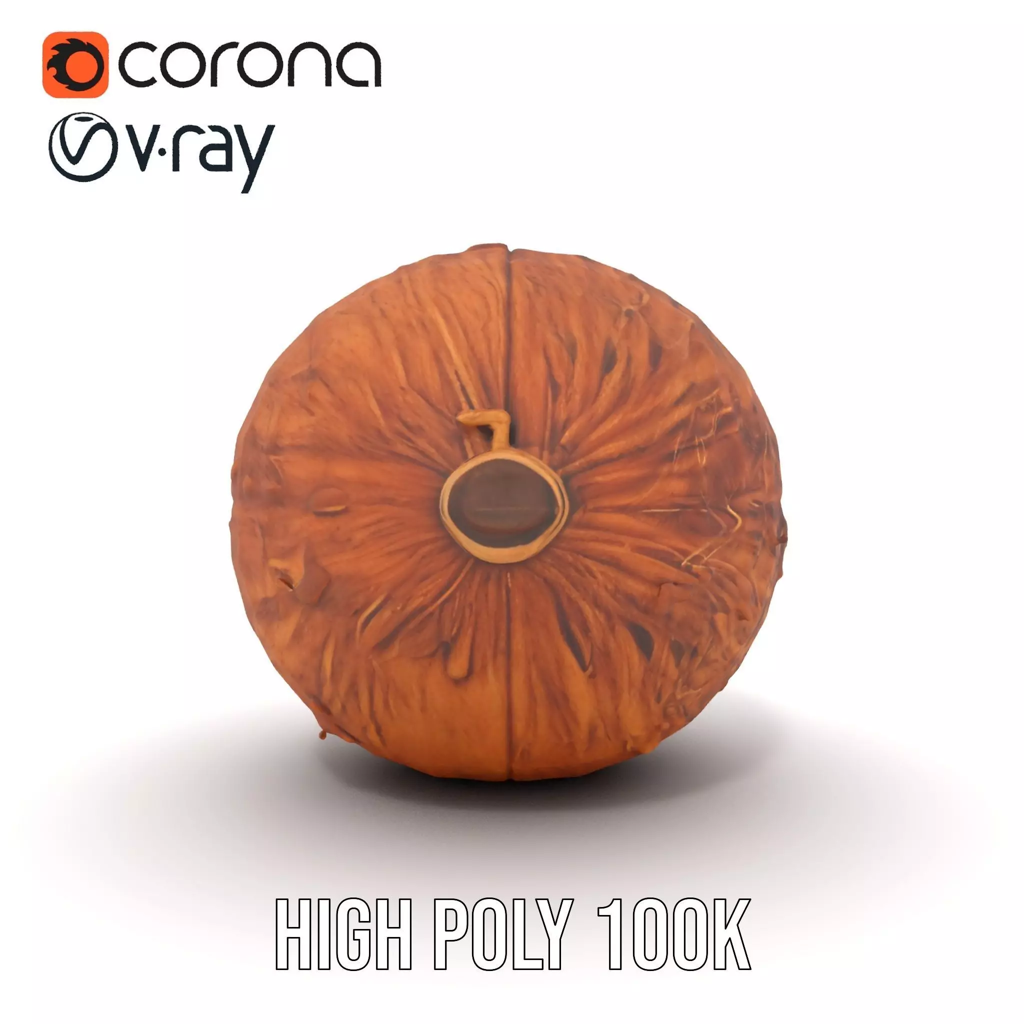 Rustic Coconut model pack Low-poly 3D model_29