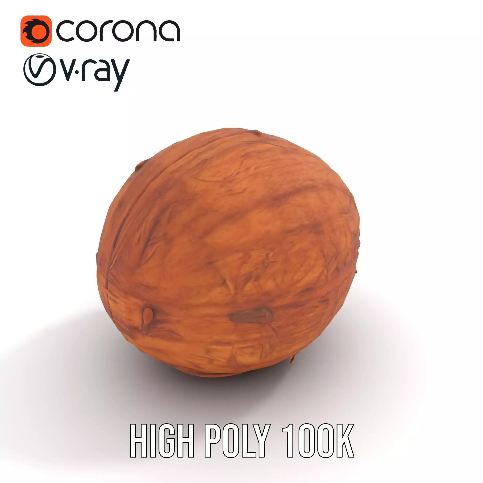 Rustic Coconut model pack Low-poly 3D model_16