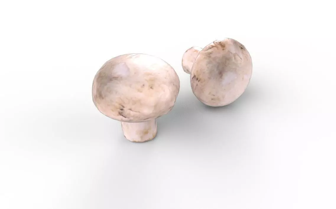Mushroom M07 Low-poly 3D model_0